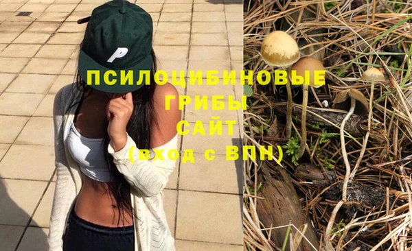 трава Нягань