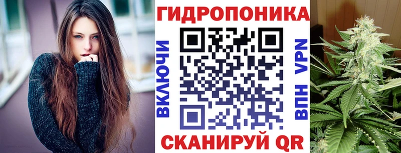 ОМГ ОМГ ТОР  Беломорск  Бошки Шишки ГИДРОПОН 